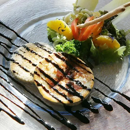 Hotel Donaublick Scheer