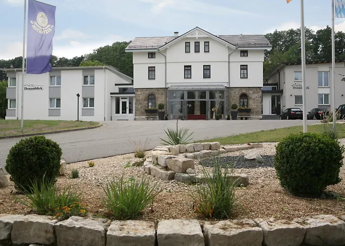 酒店 道纳布里克酒店 3*