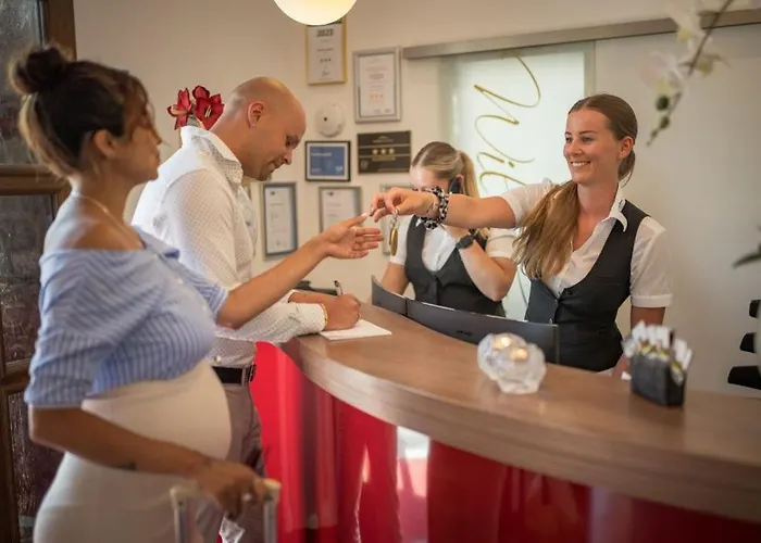 道纳布里克酒店 3*