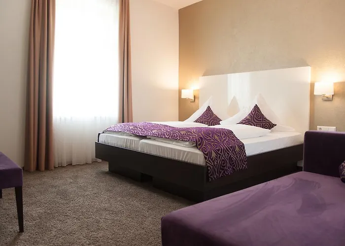 酒店 道纳布里克酒店 3*